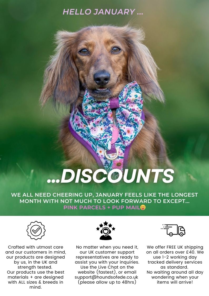 January SALE!