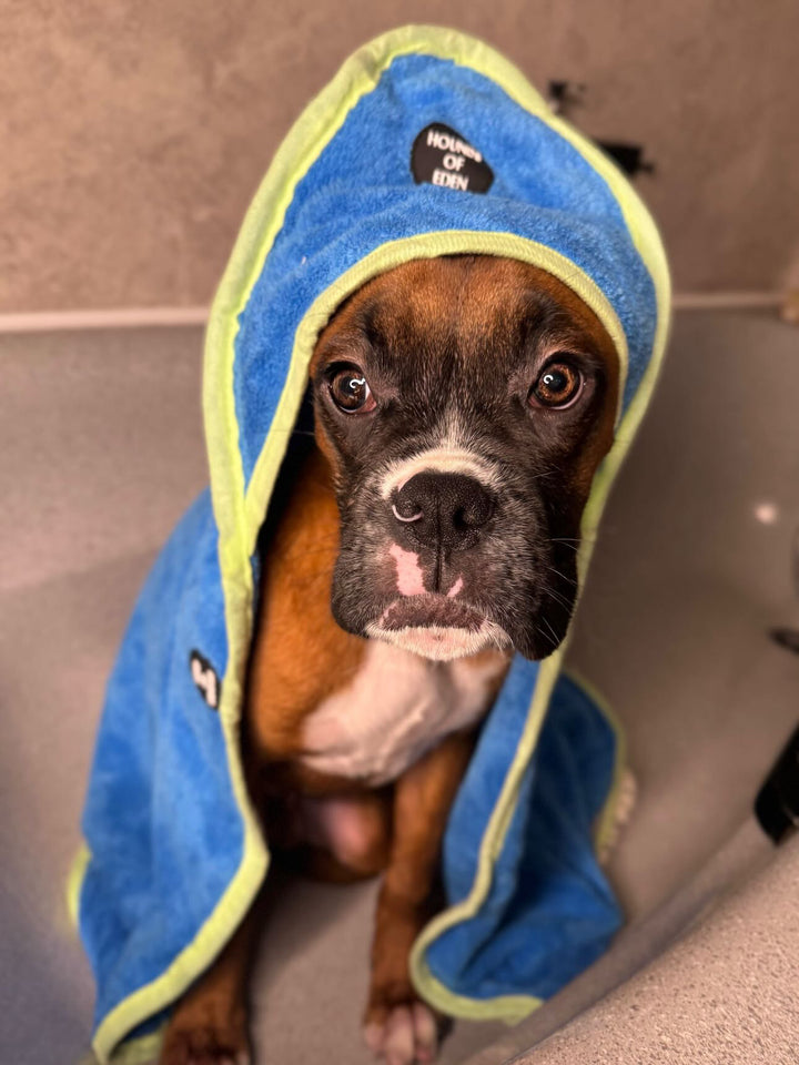 Eden's Orchard Dog Towel