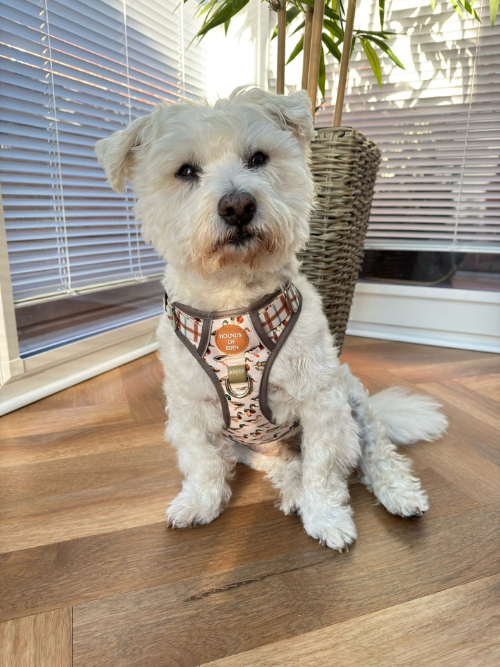 Puddle Ducks-  Supaw Strong™ Dog Harness (XS-XL)