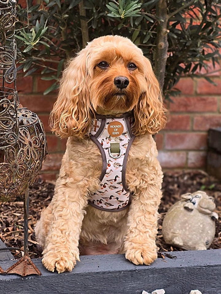 Puddle Ducks-  Supaw Strong™ Dog Harness (XS-XL)