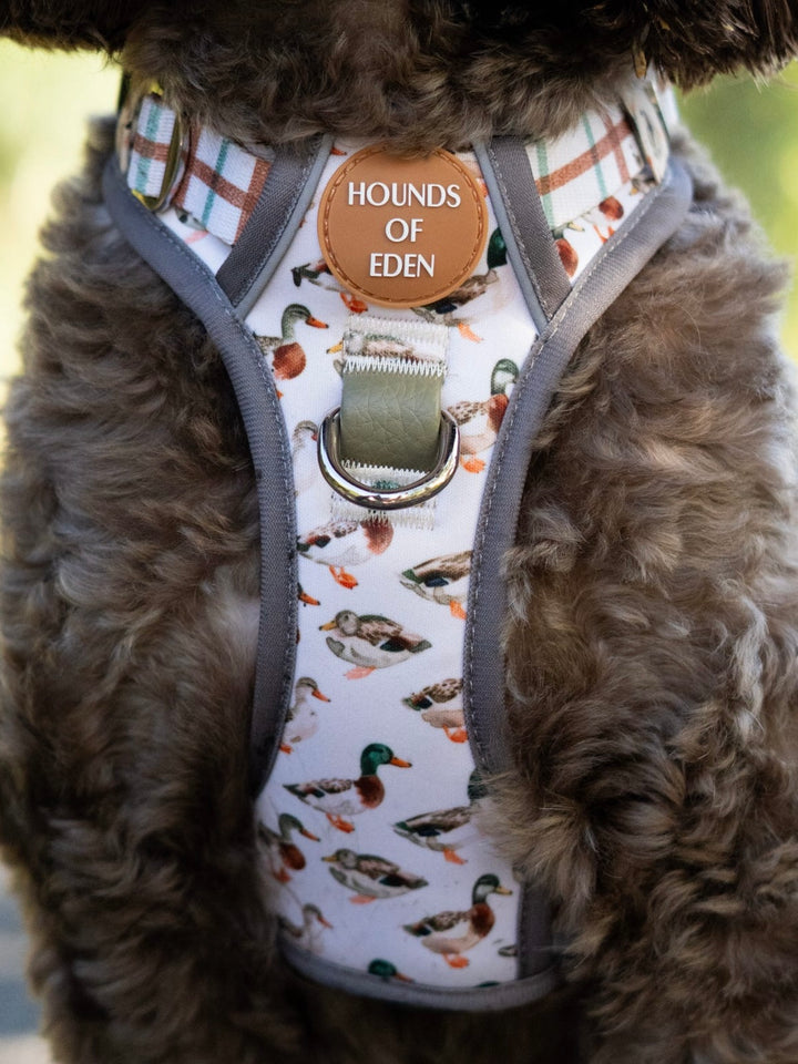 Puddle Ducks-  Supaw Strong™ Dog Harness (XS-XL)
