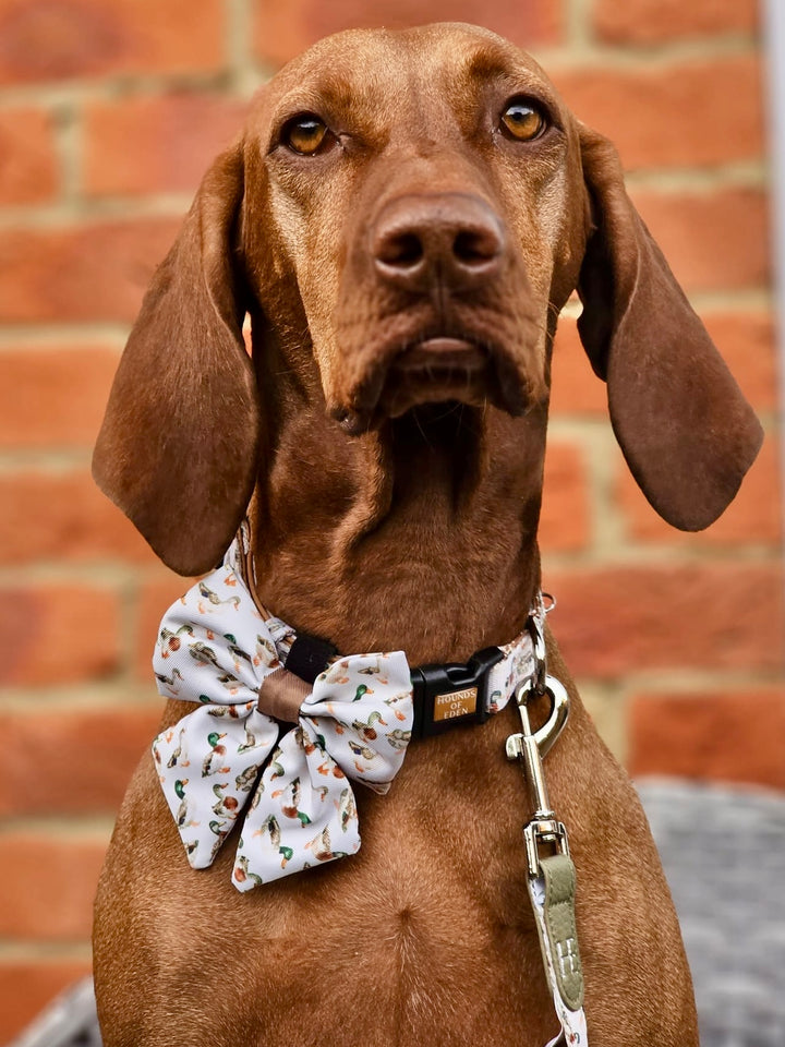 Puddle Ducks - Dog Sailor Bow Tie