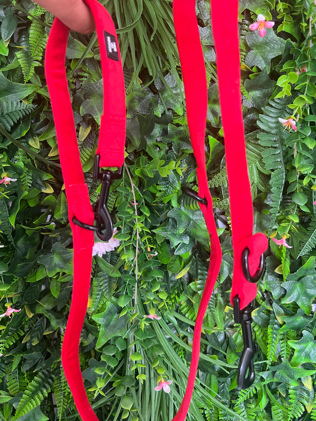 OUTLET- Sample: Red Velvet Multi Lead, Double ended clips, Training etc