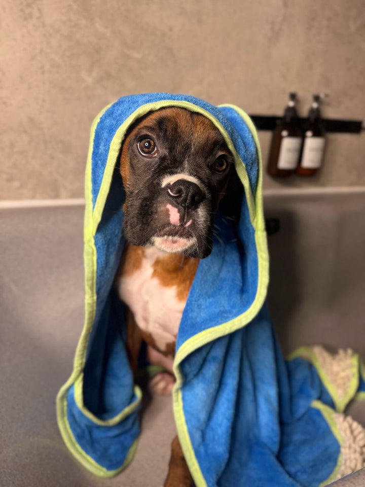 Eden's Orchard Dog Towel