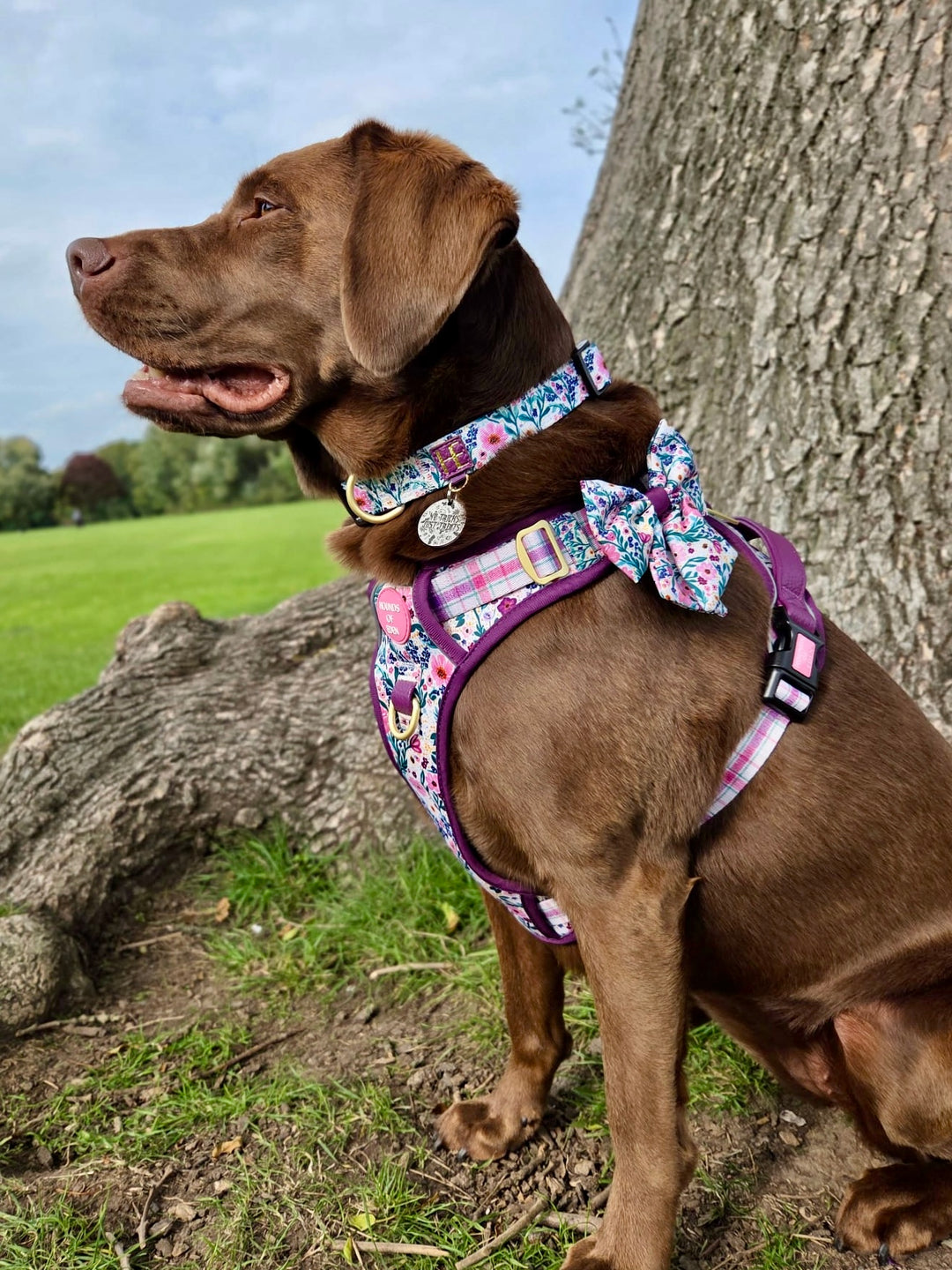 Patchy’s Plum Petals - Supaw Strong™ Dog Harness (XS-XL)
