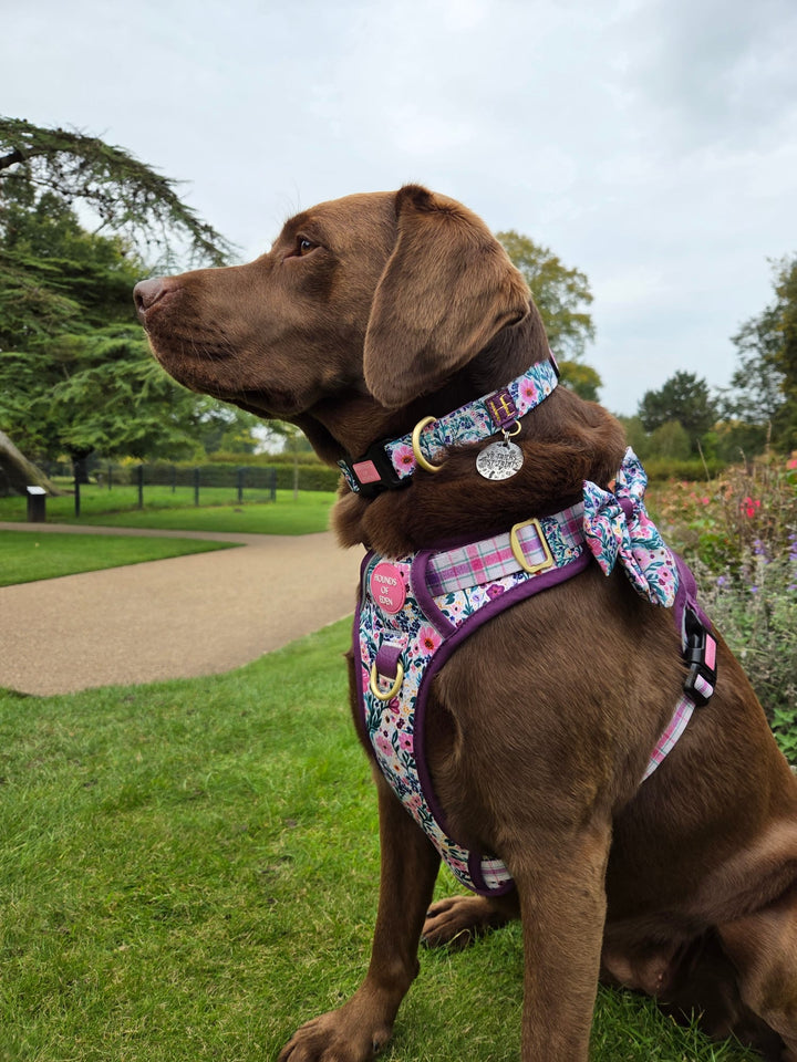 Patchy’s Plum Petals - Supaw Strong™ Dog Harness (XS-XL)