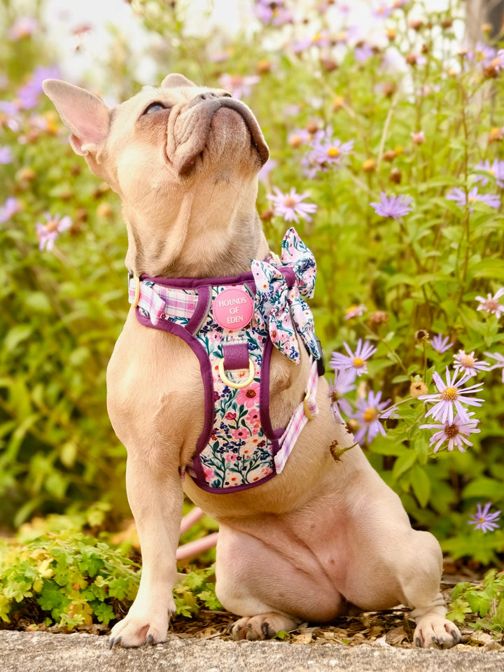 Patchy’s Plum Petals - Supaw Strong™ Dog Harness (XS-XL)