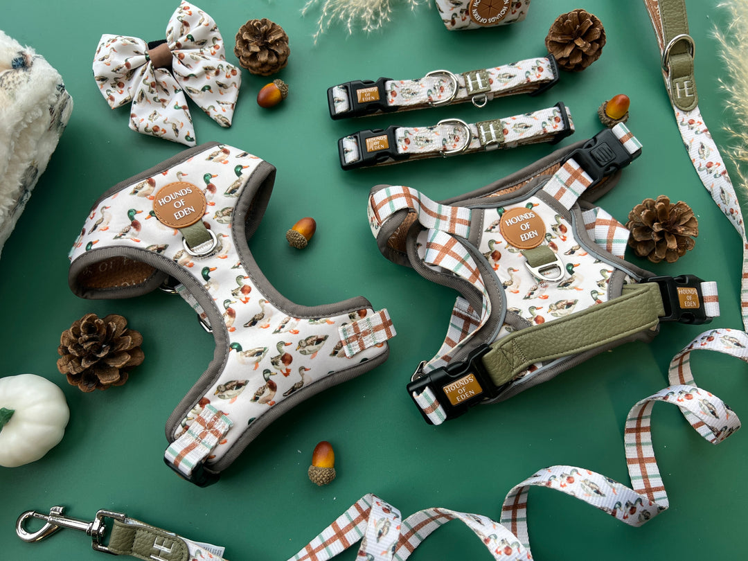 Puddle Ducks-  Supaw Strong™ Dog Harness (XS-XL)