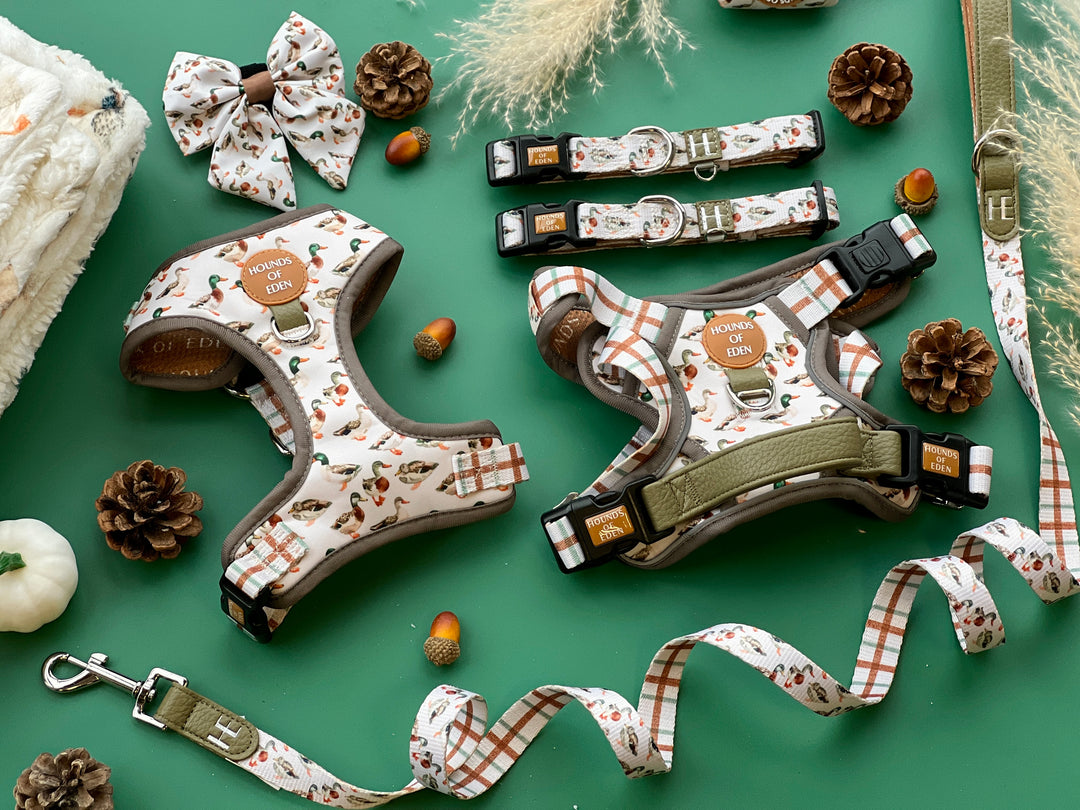 Puddle Ducks - Adjustable Dog Harness (XXS-XS)