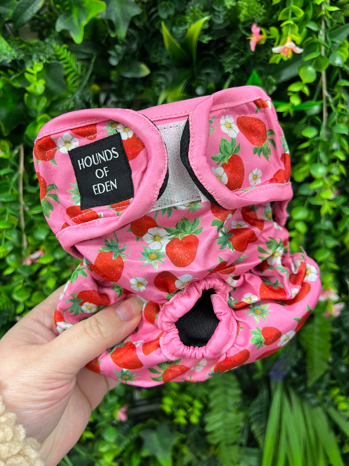 OUTLET - Strawberry Patch Season Pants/ female Incontinence, Size Medium