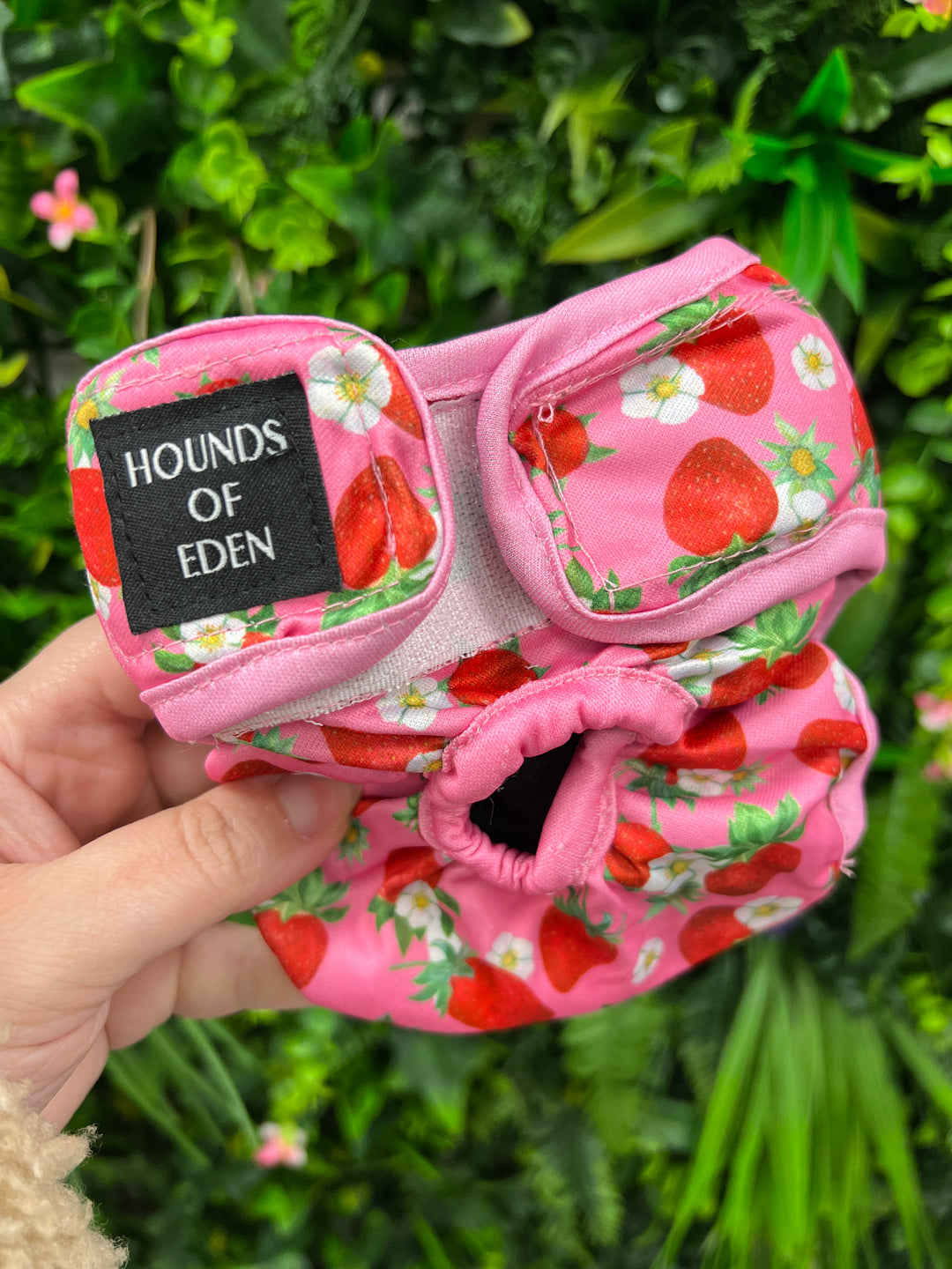 OUTLET - Strawberry Patch Season Pants/ female Incontinence, Size XS