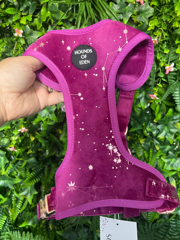 OUTLET- Magenta Sky Velvet & Rose Gold Harness Medium