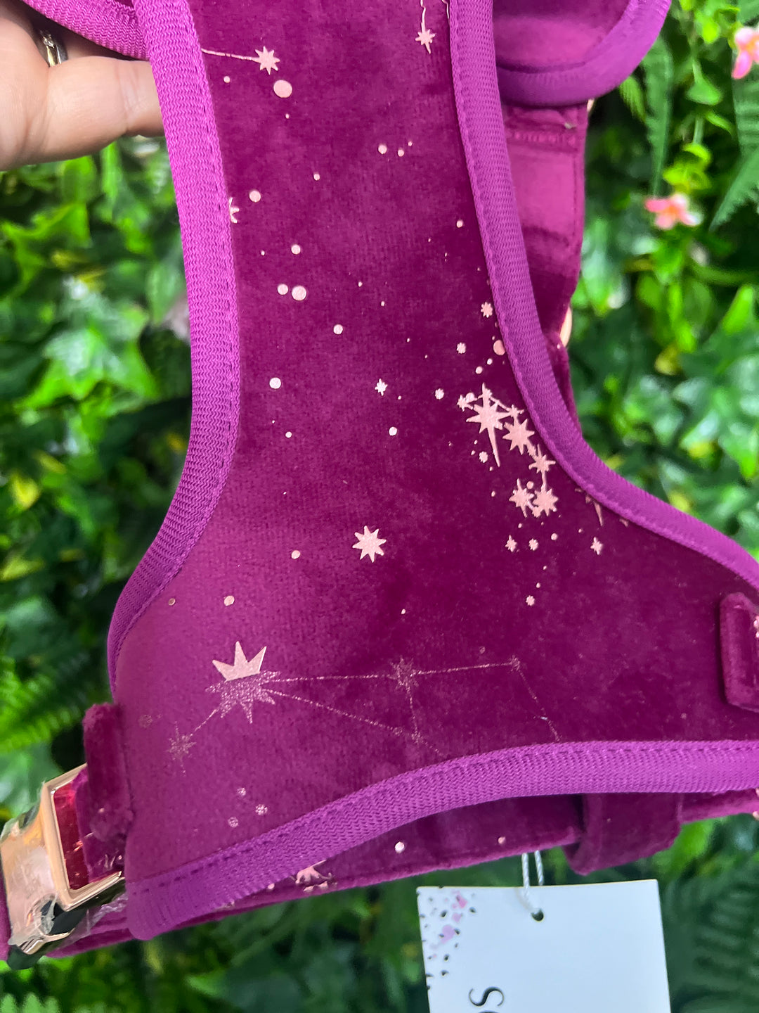 OUTLET- Magenta Sky Velvet & Rose Gold Harness Medium