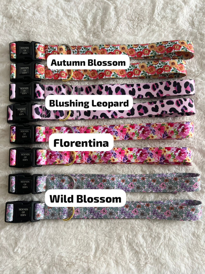 Hands-Free Dog Walking Waist Strap - For use with Ulti-Mate Dog Walking Bag - Gold Hardware