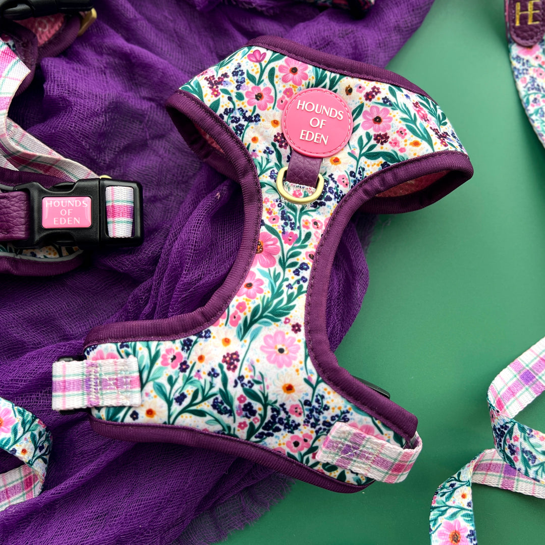Patchy’s Plum Petals - Dog Harness (XXS-XS)