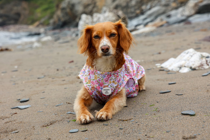 Pastal Petals Dog Cooling Vest