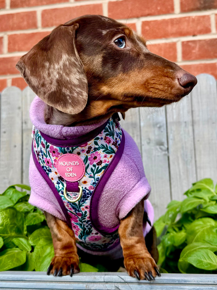 Patchy’s Plum Petals - Dog Harness (XXS-XS)