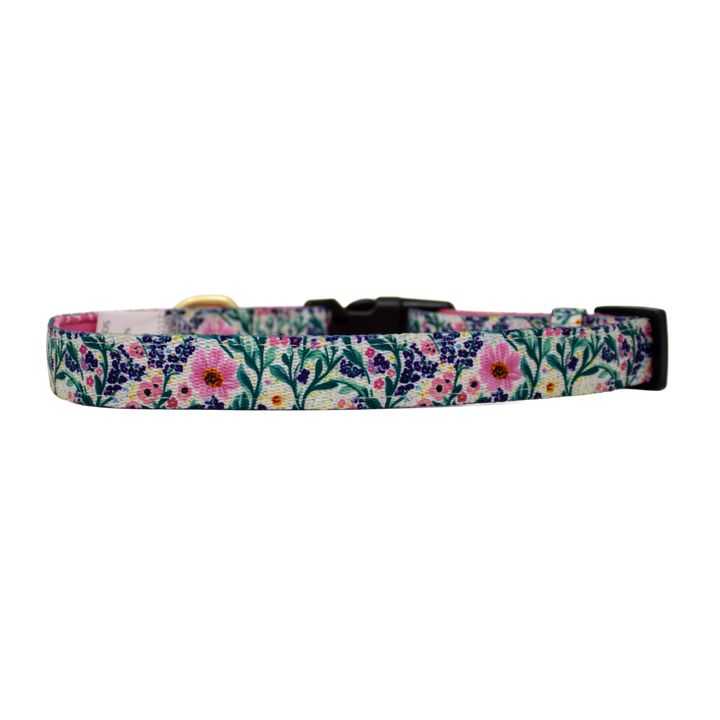 Patchy’s Plum Petals - Dog Collar + ID Tag Holder