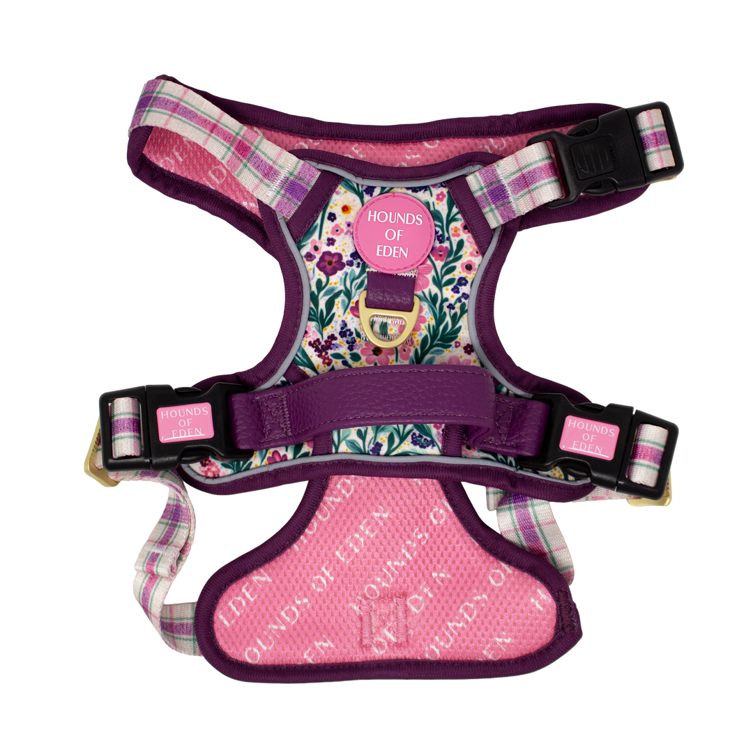 Patchy’s Plum Petals - Dog Collar + ID Tag Holder