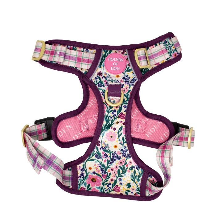 Patchy’s Plum Petals - Dog Collar + ID Tag Holder