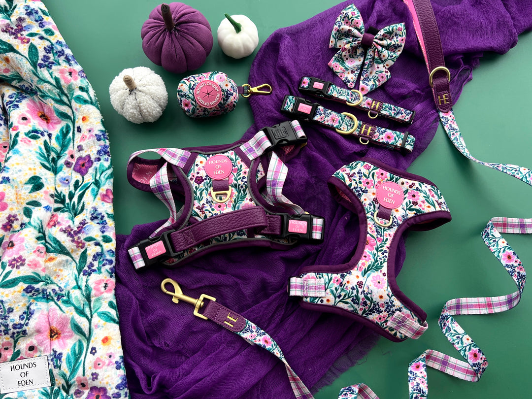 Patchy’s Plum Petals - Leather Dog Lead