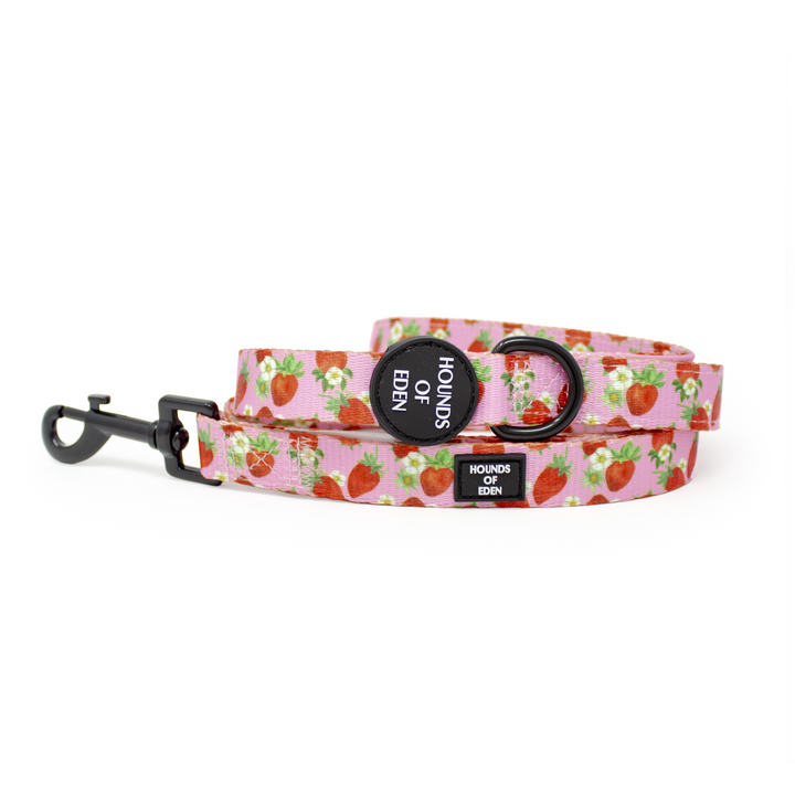 Strawberry Patch Design Dog Collar