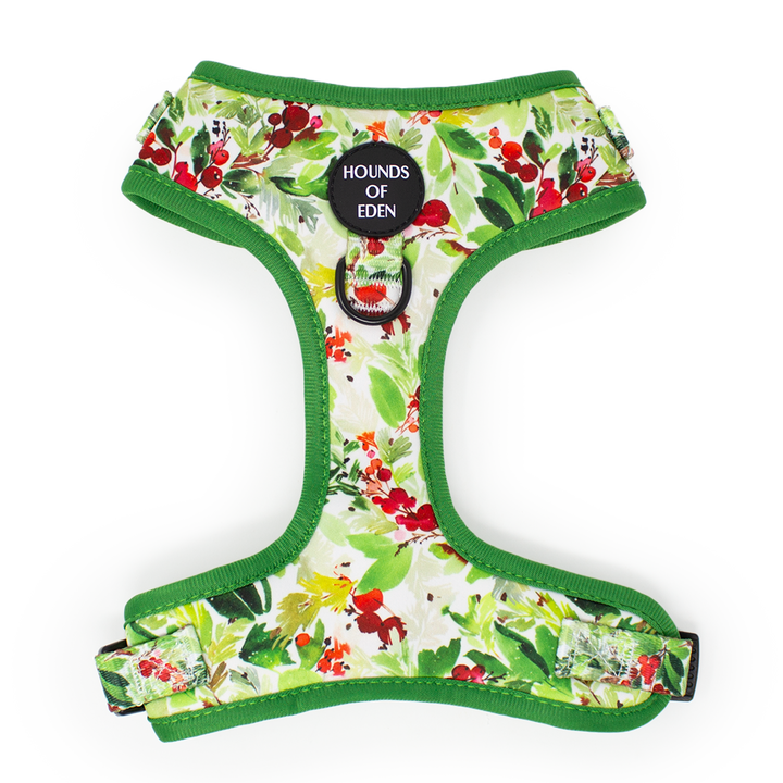 Winter Spruce & Berries dog harness