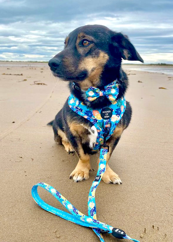 Under The Sea Design Dog Lead