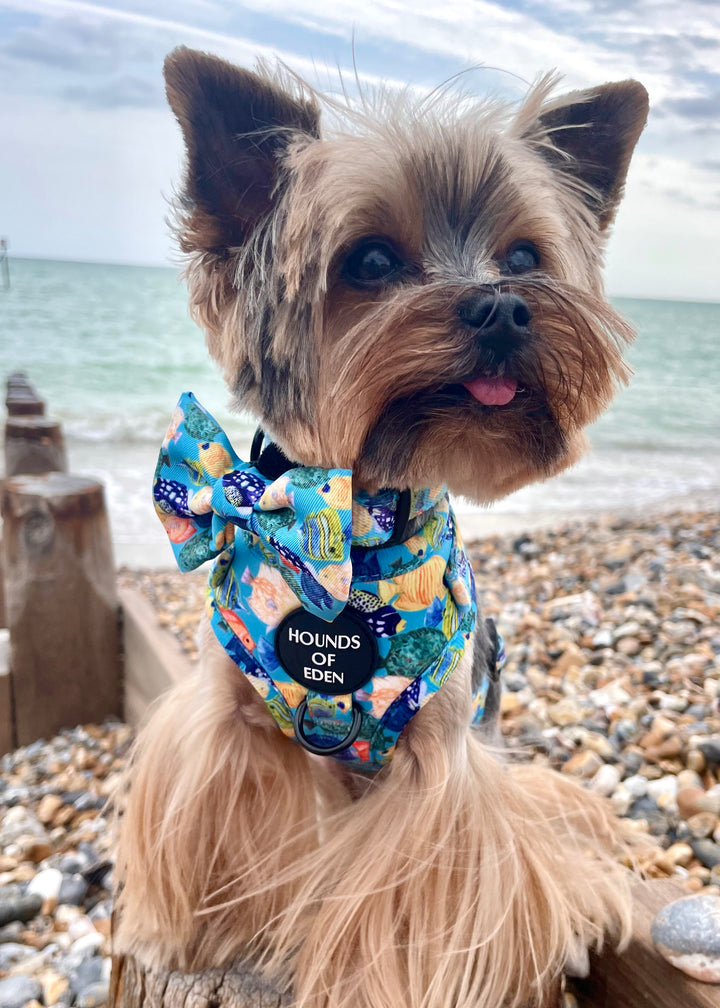 Under The Sea Design Dog Lead