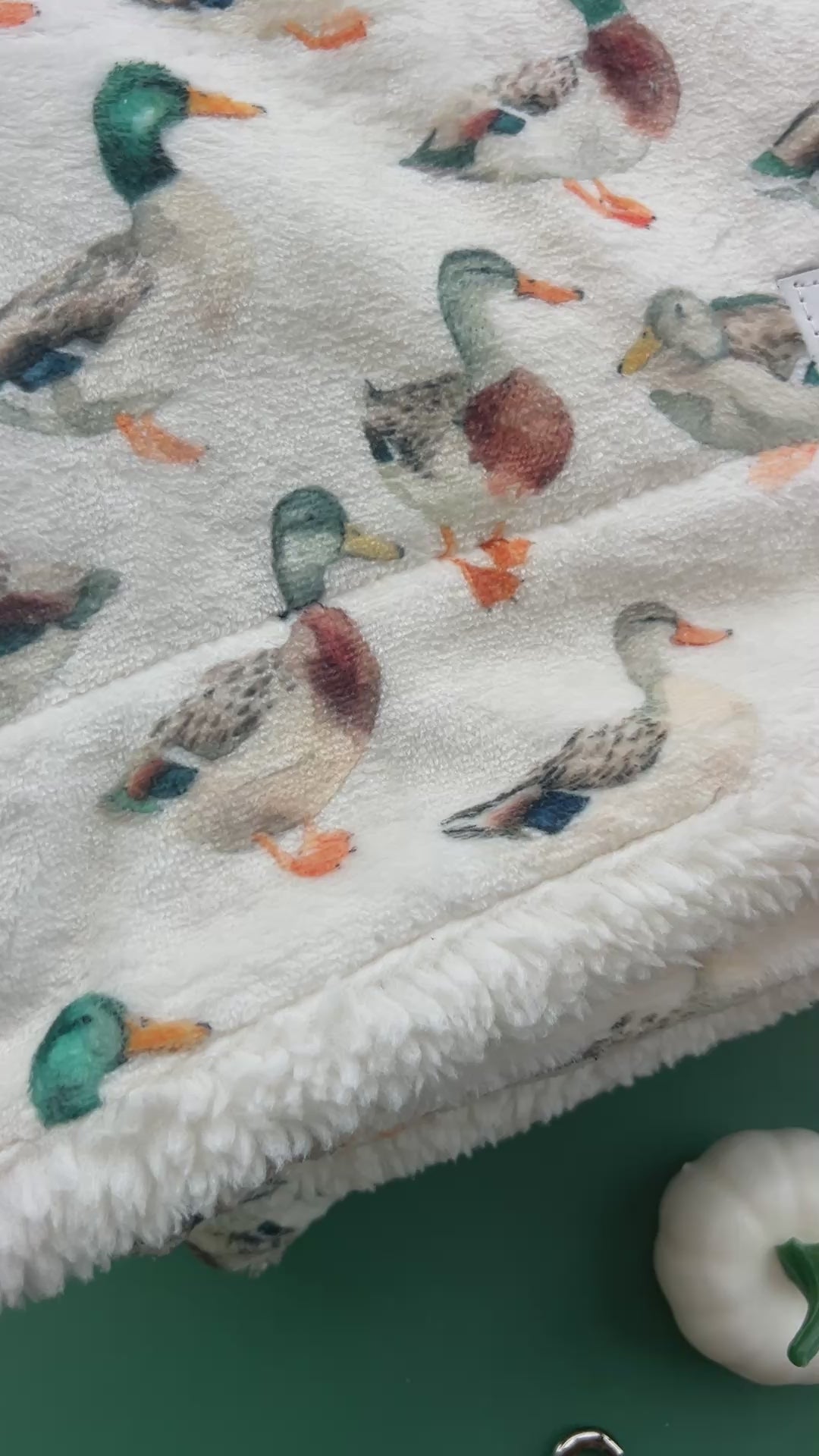 Puddle Ducks - Leather Dog Lead