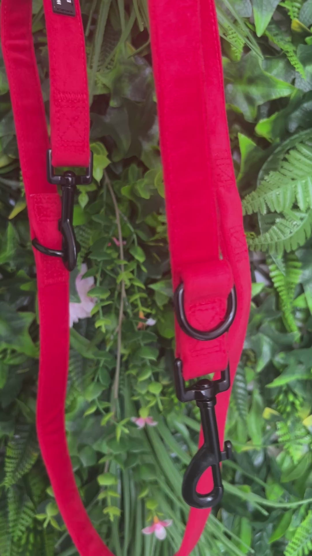 OUTLET- Sample: Red Velvet Multi Lead, Double ended clips, Training etc