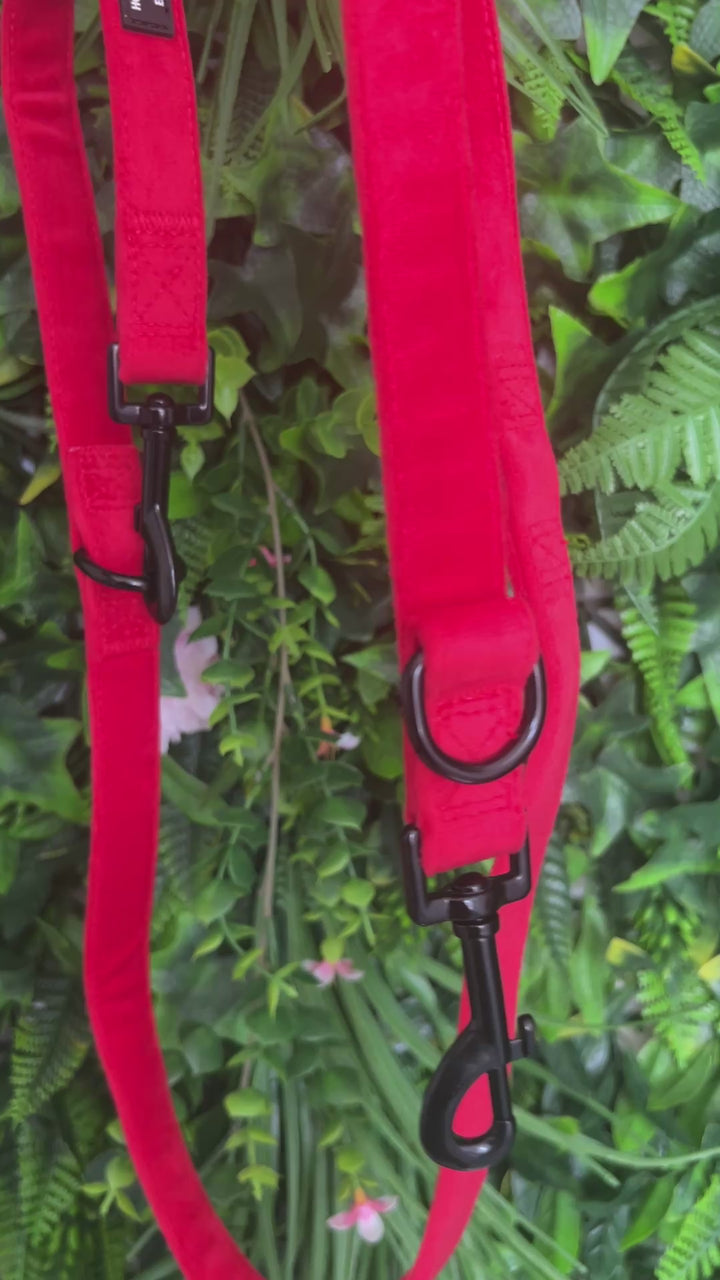 OUTLET- Sample: Red Velvet Multi Lead, Double ended clips, Training etc
