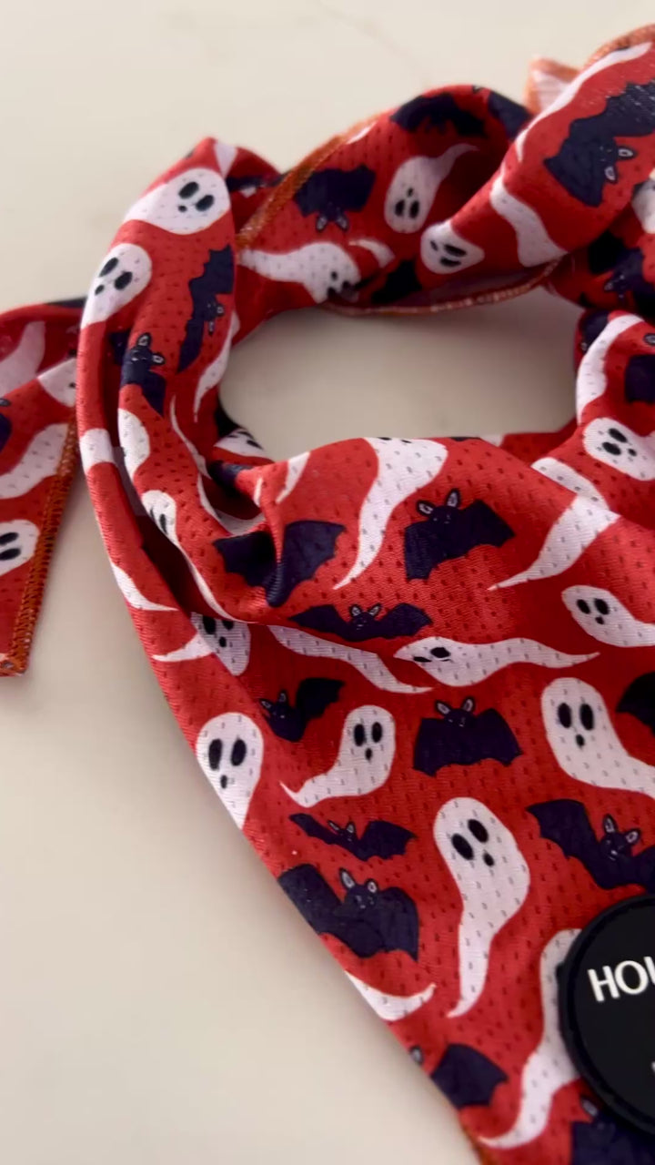 Lilac Grinning Pumpkin Halloween Dog Bandana 🎃