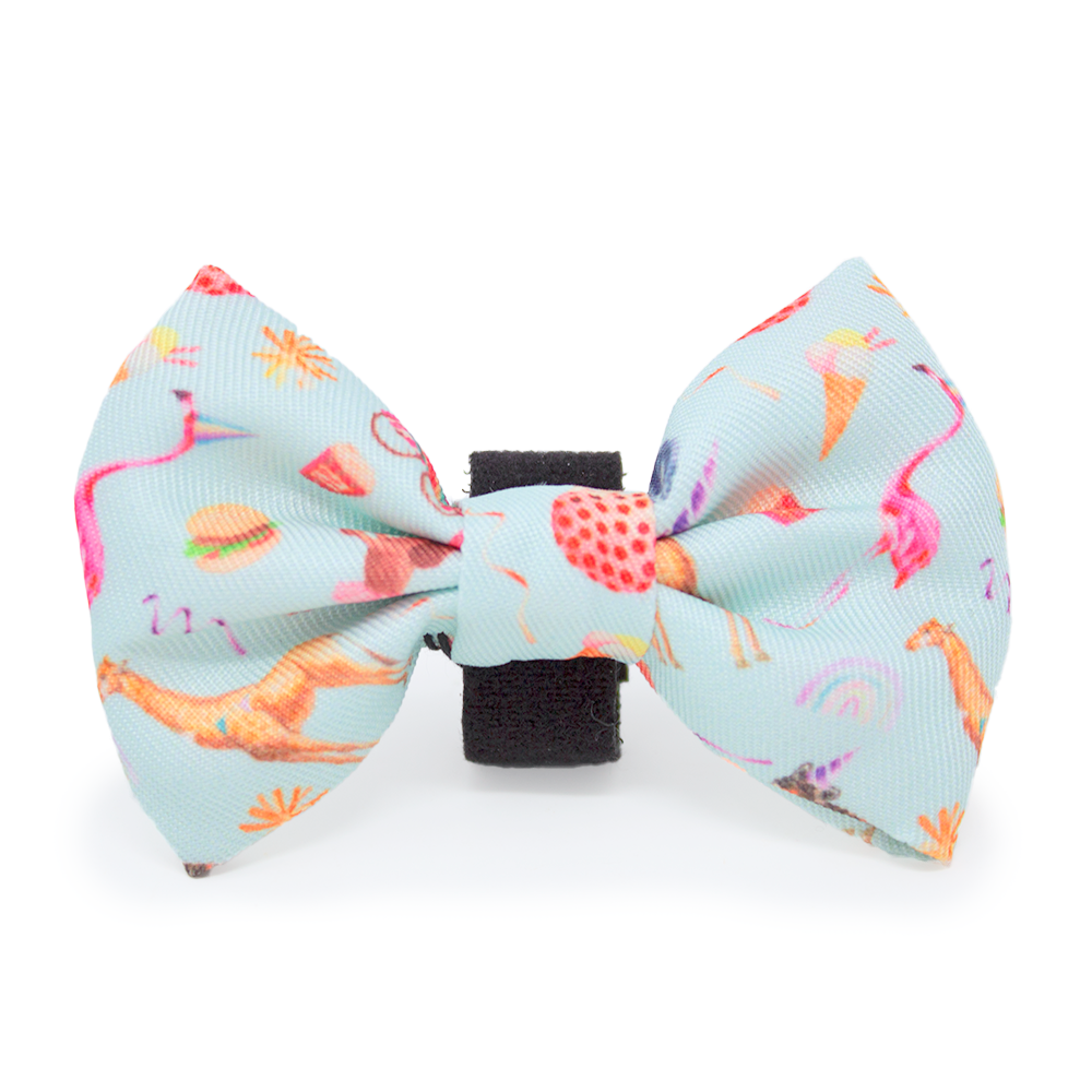 CIRCUS PUP - Dog Bow Tie