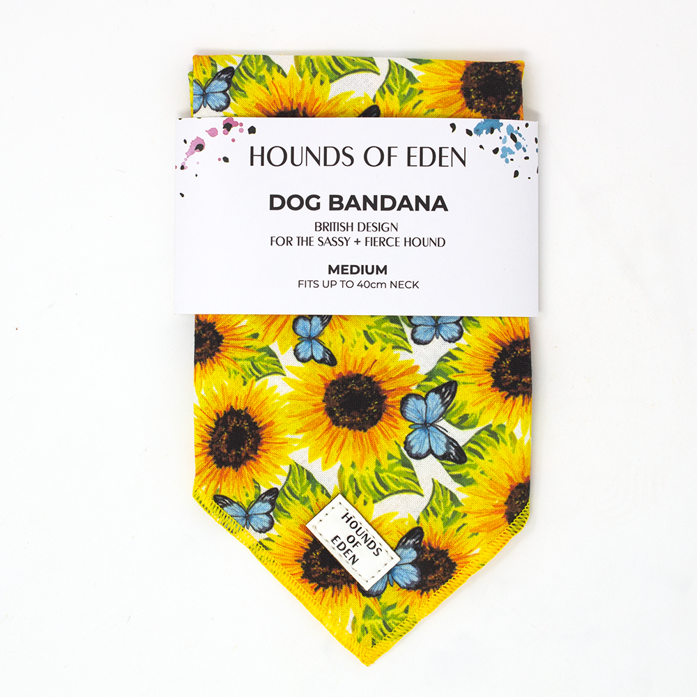 Sunflower Flutter - Yellow and Blue Dog Cotton Bandana