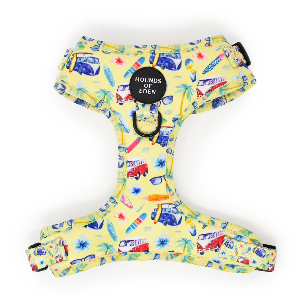 Surf's Up!- Dog Harness