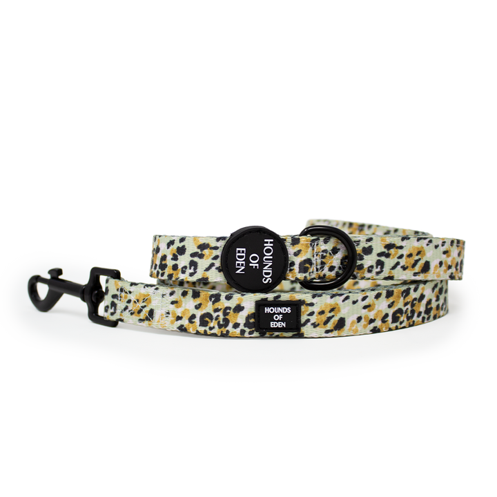Sage Leopard Design Dog Harness