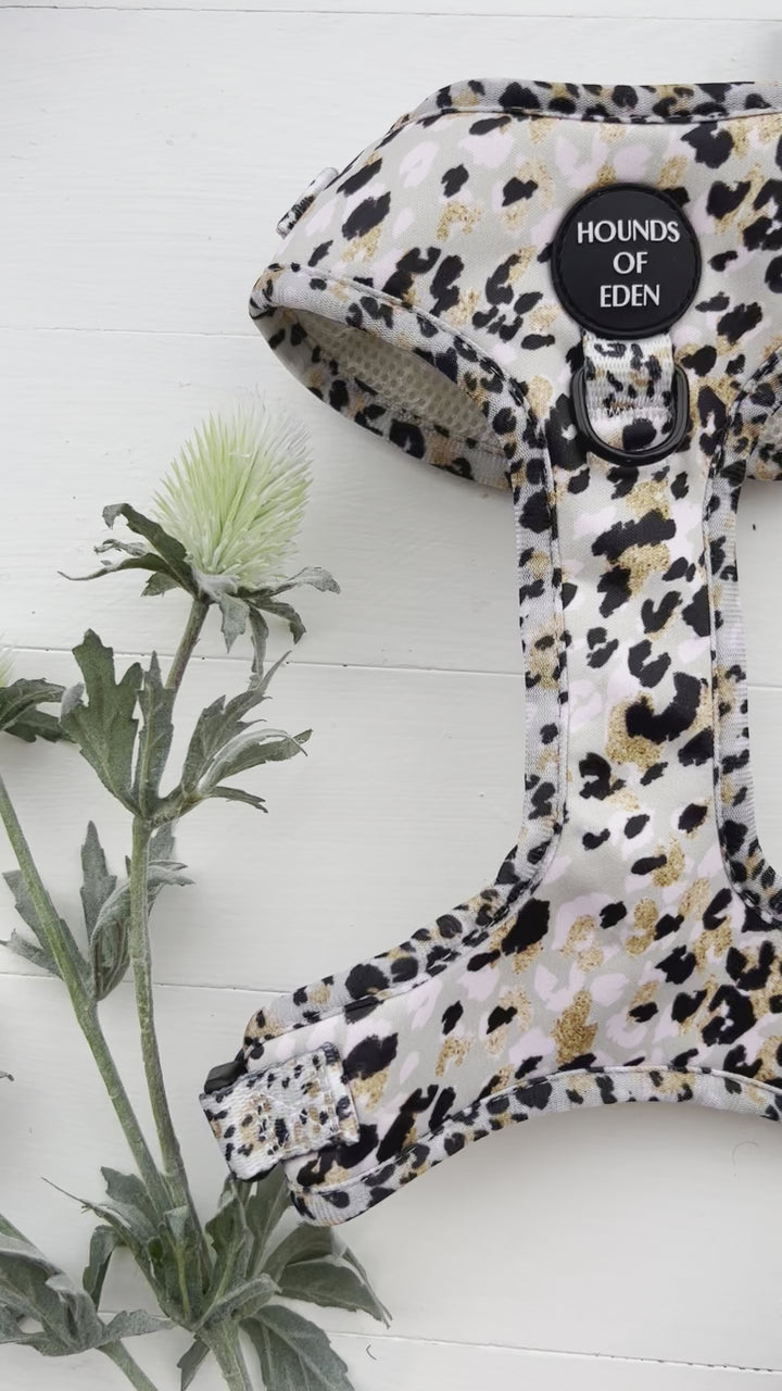 Sage Leopard Design Dog Harness