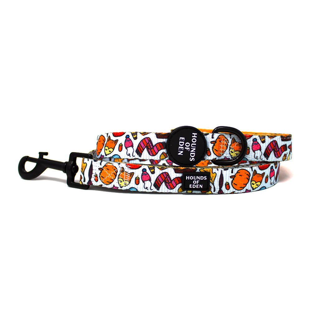Country Pupkin - Autumnal Doodle Dog Lead