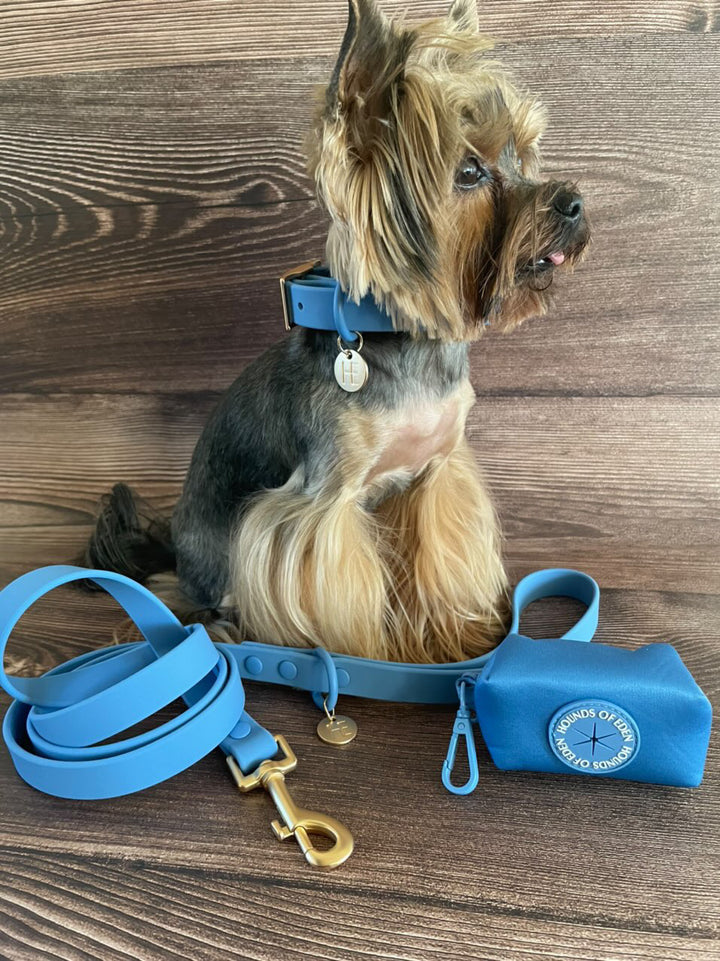 Lichen Blue 'All Weather' Dog Collar