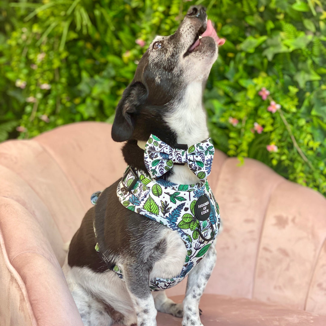 Ferntastic - Green Botanical Dog Collar