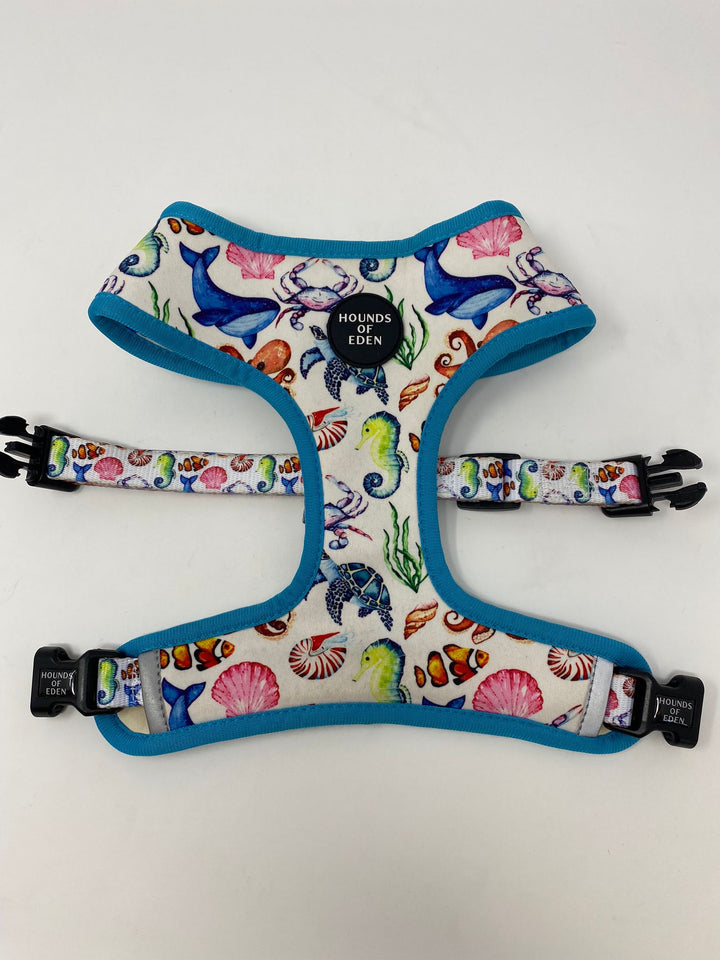 Outlet - MEDIUM 'WHALE OF A TIME' - SEA THEMED REVERSIBLE DOG HARNESS - 0052