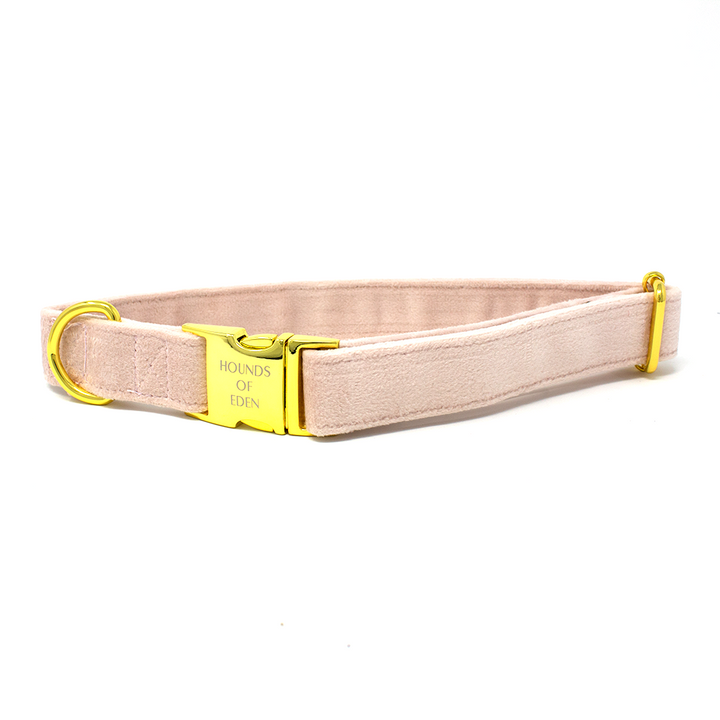 Pure Peony - Pink Velvet Dog Harness with Gold Metal Hardware