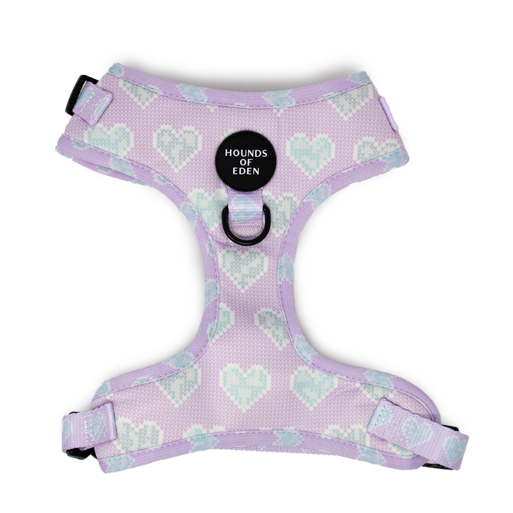 Don’t Go Barking My Heart - Pink and Teal Hearts Dog Harness