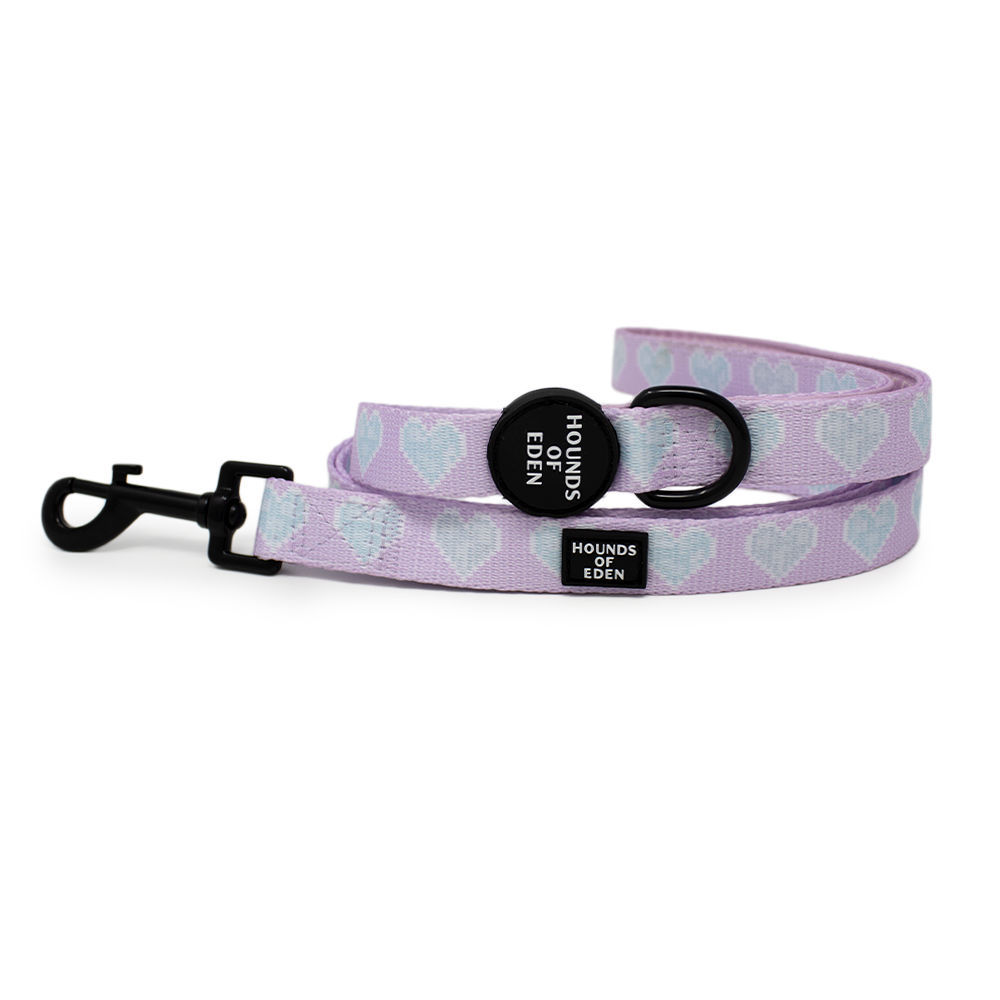 Don’t Go Barking My Heart - Pink and Teal Hearts Dog Harness